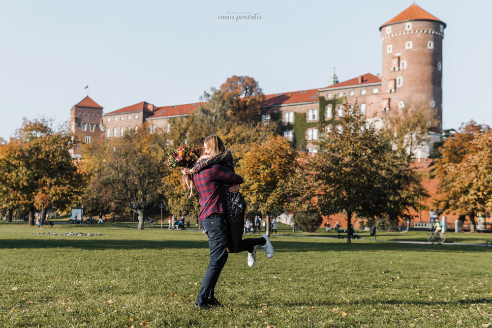 Wawel surprise proposal